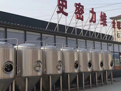 杨浦精酿啤酒设备厂—市场规模与跨界新需求